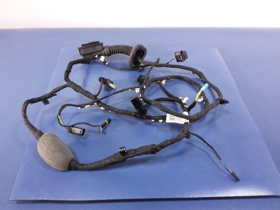 Bmw x7 g07 жгут дверь левый задняя 8779824 фото №1