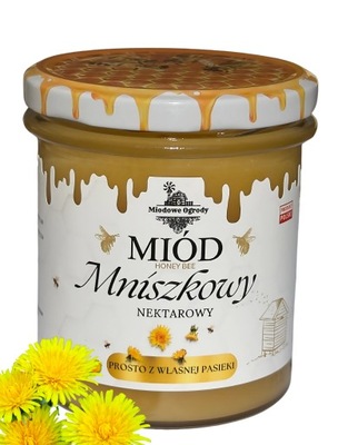 MIÓD MNISZKOWY Z PASIEKI MIODOWE OGRODY 400G