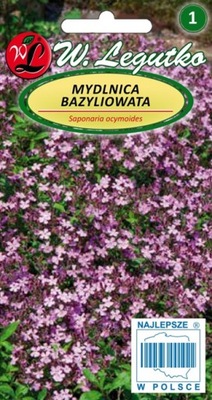 MYDLNICA BAZILOVÁ – úžasná kobercová trvalka (L)