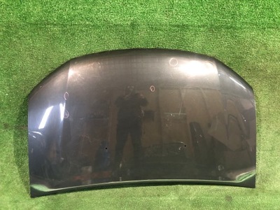 Капот кришка двигуна dacia sandero ii logan фото №1