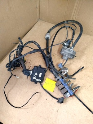 Електропроводка газова комплектна система lpg stag 200 gofast фото №1