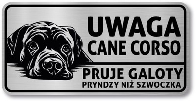 Tabliczka uwaga pies Cane Corso po śląsku