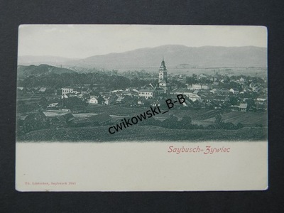 ŻYWIEC SAYBUSCH