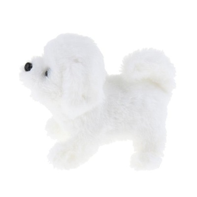 Pies Szczekający Zwierzę Chodzący Biały Bichon Frise
