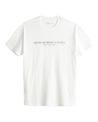 Abercrombie & Fitch - Tonal Embroidered Logo Tee - XXL -