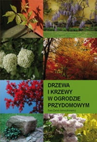 Drzewa i krzewy w ogrodzie przydomowym