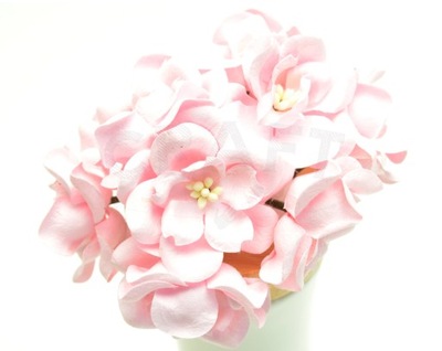 Magnolie pastelowe różowe (IAR) 10 szt. mniejsze