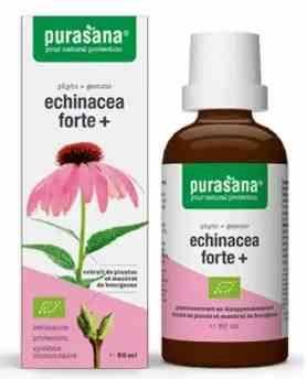 ECHINACEA FORTE JEŻÓWKA PURPUROWA KROPLE BIO PURAS