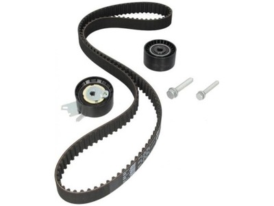 Набор распределительного вала peugeot 2,0 16v фото №1