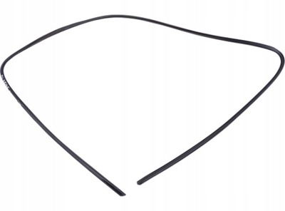 Прокладка дахова infiniti fx35 fx45 03-08 фото №1