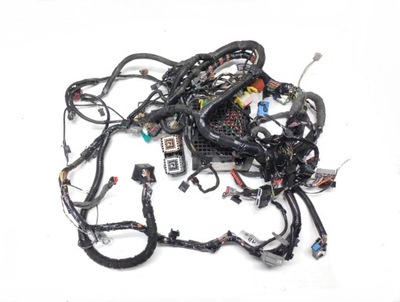 Електропроводка панелі connect toureno transit 1.8tdci фото №1