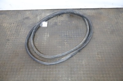 Прокладка двері права передня renault t 460 e6 фото №1