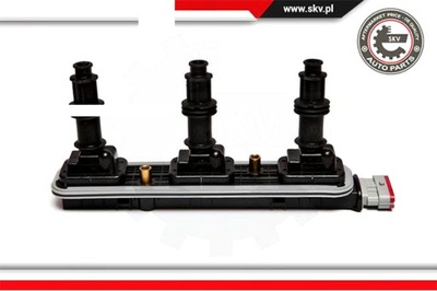 ESEN SKV КАТУШКА ЗАЖИГАНИЯ OPEL 3.2 V6 10527 93173708 01208015 1208015