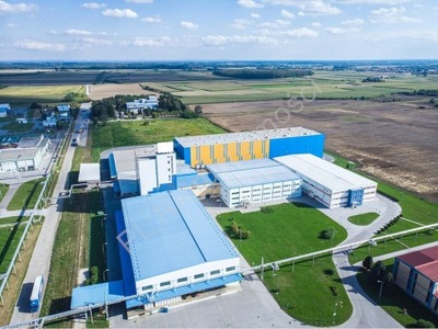 Działka, Stara Wieś, 45000 m²