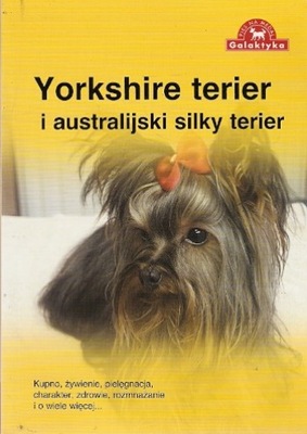 Yorkshire terier i australijski silky terier Kupno żywienie pielęgnacja