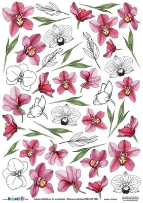 Arkusz dodatków Artemisja A4 – Różowe orchidee