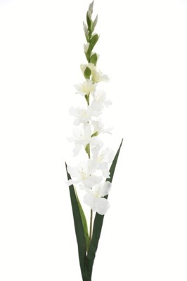 Mieczyk gałązka kwiaty sztuczne 110 cm biały