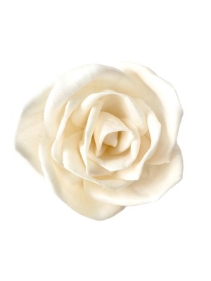 Róża sepcial Shola Miła Odmiana