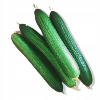 OGOREK DLUGI ŚWIEŻY ZIELONY SMACZNY 500g
