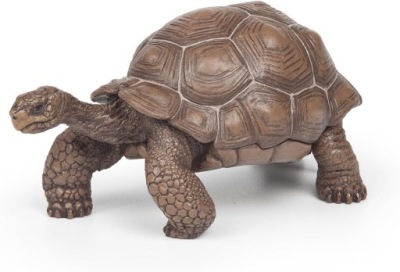 PAPO 50161 ŻÓŁW Z GALAPAGOS 6 CM FIGURKA