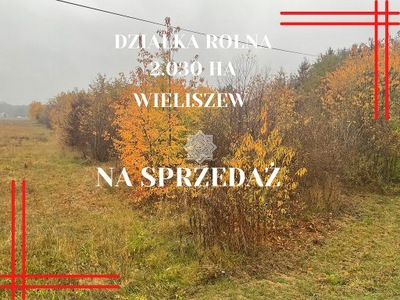 Działka, Wieliszew, Wieliszew (gm.), 20030 m²