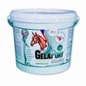 Orling GelaPony Vitamin 1800 g witaminy