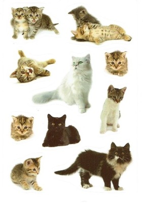 Naklejki Stickersy nalepki Koty kotki kotek