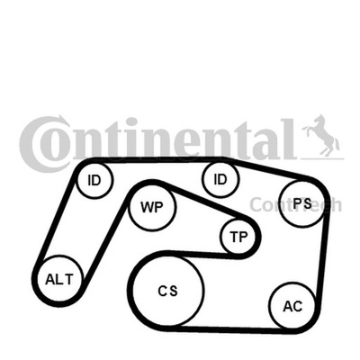 JUEGO CORREA WIELOROWK. DB 2,2/2,7 CDI W202/W210  