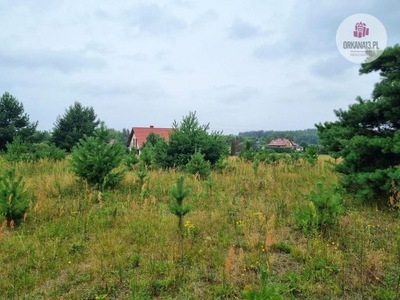 Działka, Woryty, Gietrzwałd (gm.), 9982 m²