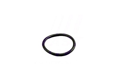 Fast уплотнительное кольцо mercedes sprinter 18 907 910 chło фото №1