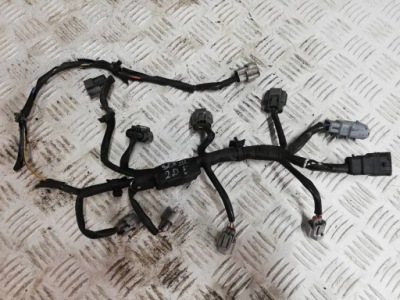 Електропроводка форсунок renault scenic iii 2.0 16v cvt фото №1