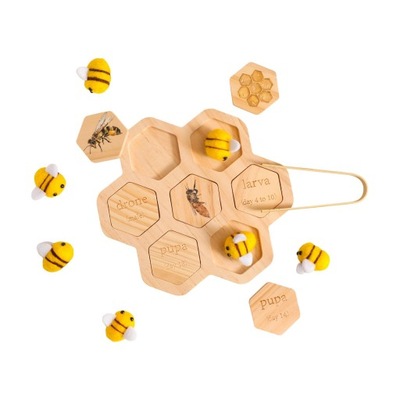 Sortowanie pszczół Dopasowywanie zabawek Pomoce dydaktyczne dla przedszkolaków