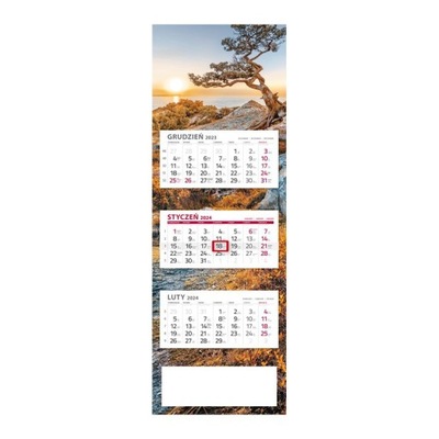 2024 kalendarz trójdzielny Sosna panoramiczny 3-dzielny w kopercie