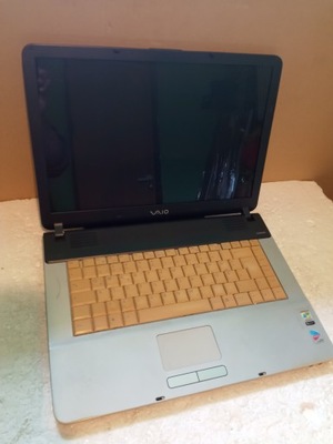 SONY VAIO PCG-7M1M