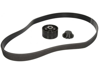 Набор ремни с ролики renault clio iii, clio iv, modus, twingo ii, wind фото №1