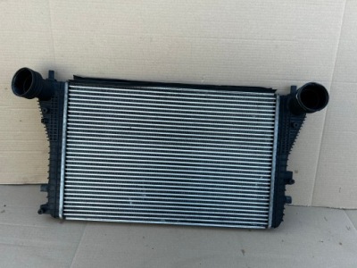 Vw golf v touran інтеркулер anex фото №1