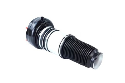 Vika 66160002201 амортизатор пневматичний фото №1