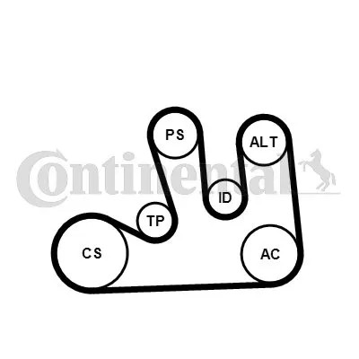 Contitech 5PK1750K1 