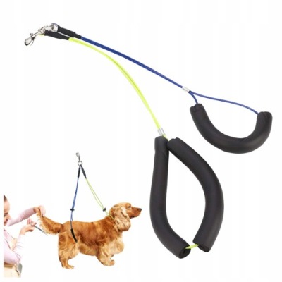 REGULOWANA SMYCZ DO PIELĘGNACJI ZWIERZĄT DOMOWYCH DO PSÓW