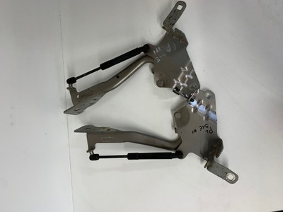 Петли капот renault scenic iii комплект фото №1