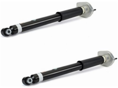 Амортизаторы задняя arnott sk-3384 фото №1