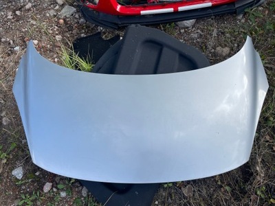 Капот scenic iii ted69 фото №1