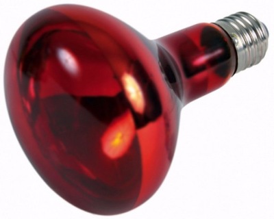 Punktowa lampa grzewcza, podczerwień, czerwona, 150W