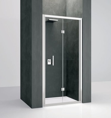 Novellini Drzwi prysznicowe 101x195cm srebrny