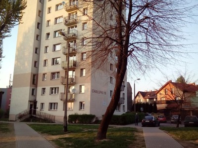 Mieszkanie, Chorzów, Centrum, 25 m²