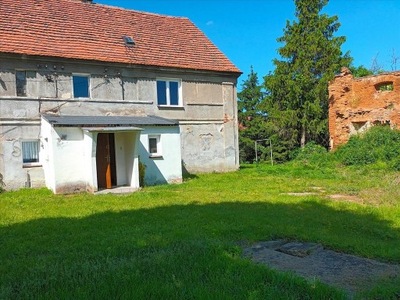 Dom, Jenkowice, Kostomłoty (gm.), 275 m²