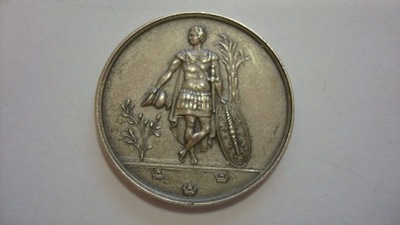 Szwecja medal srebro Krigsskolans