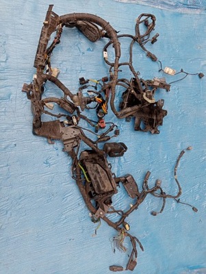 Ford edge ii 2.0 дизель джгут двигуна фото №1