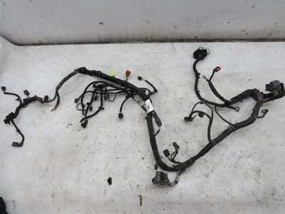 Жгут двигателя ecosport 1.0 b dv2t-12a522-bad фото №1