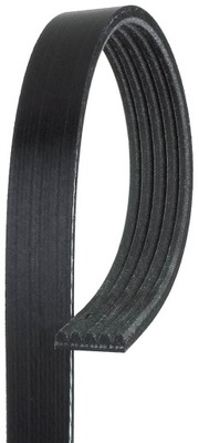 Ремінь багатореберний acura legend 91-95 honda accord фото №1